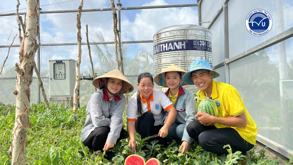 Sinh viên thu hoạch dưa tại trại thực nghiệm