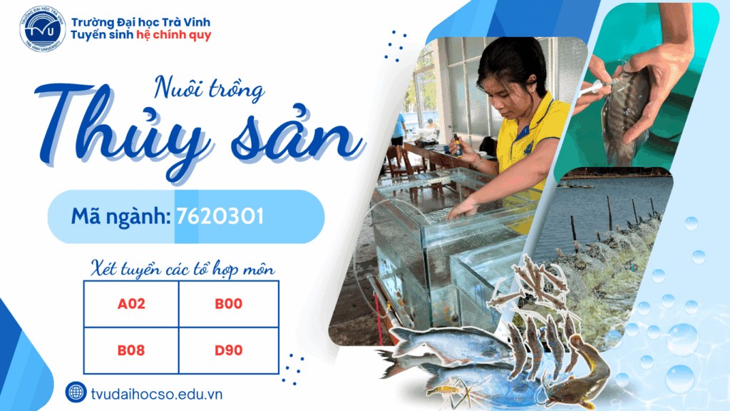 Ngành Nuôi trồng thủy sản TVU xét các tổ hợp môn: A02 (Toán, Vật lý, Sinh học); B00 (Toán, Hóa học, Sinh học); B08 (Toán, Sinh học, Tiếng Anh); D90 (Toán, Khoa học tự nhiên, Tiếng Anh).