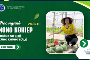 Học ngành nông nghiệp 2025: không sợ khổ cũng không sợ lỗ