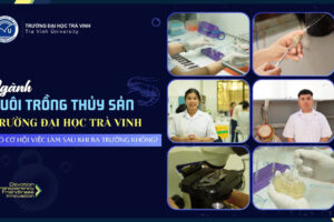 Ngành Nuôi trồng thủy sản Trường Đại học Trà Vinh có cơ hội việc làm sau khi ra trường không?