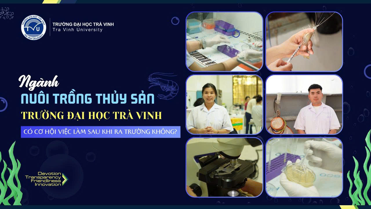 Ngành Nuôi trồng thủy sản Trường Đại học Trà Vinh có cơ hội việc làm sau khi ra trường không?