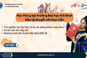 THU Y