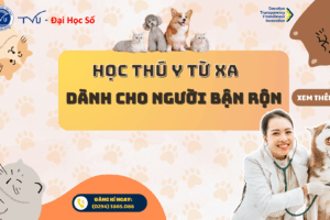 Học ngành Thú y hệ đại học từ xa tại Trường Đại học Trà Vinh - Dành cho người bận rộn